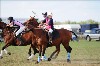 UKPA  NC Sat_1466